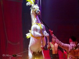 Circus Alex Kaisert am 1. Mai 2026